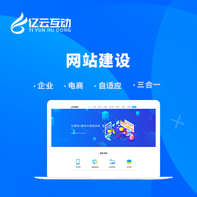 网站定制开发 预览图