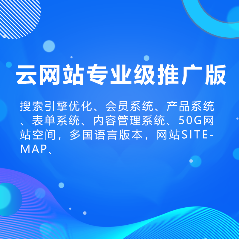 云网站专业级推广版 预览图