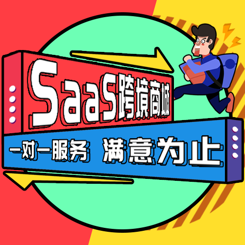 saas跨境商城、清关申报系统、ERP、跨境一站式服务 预览图