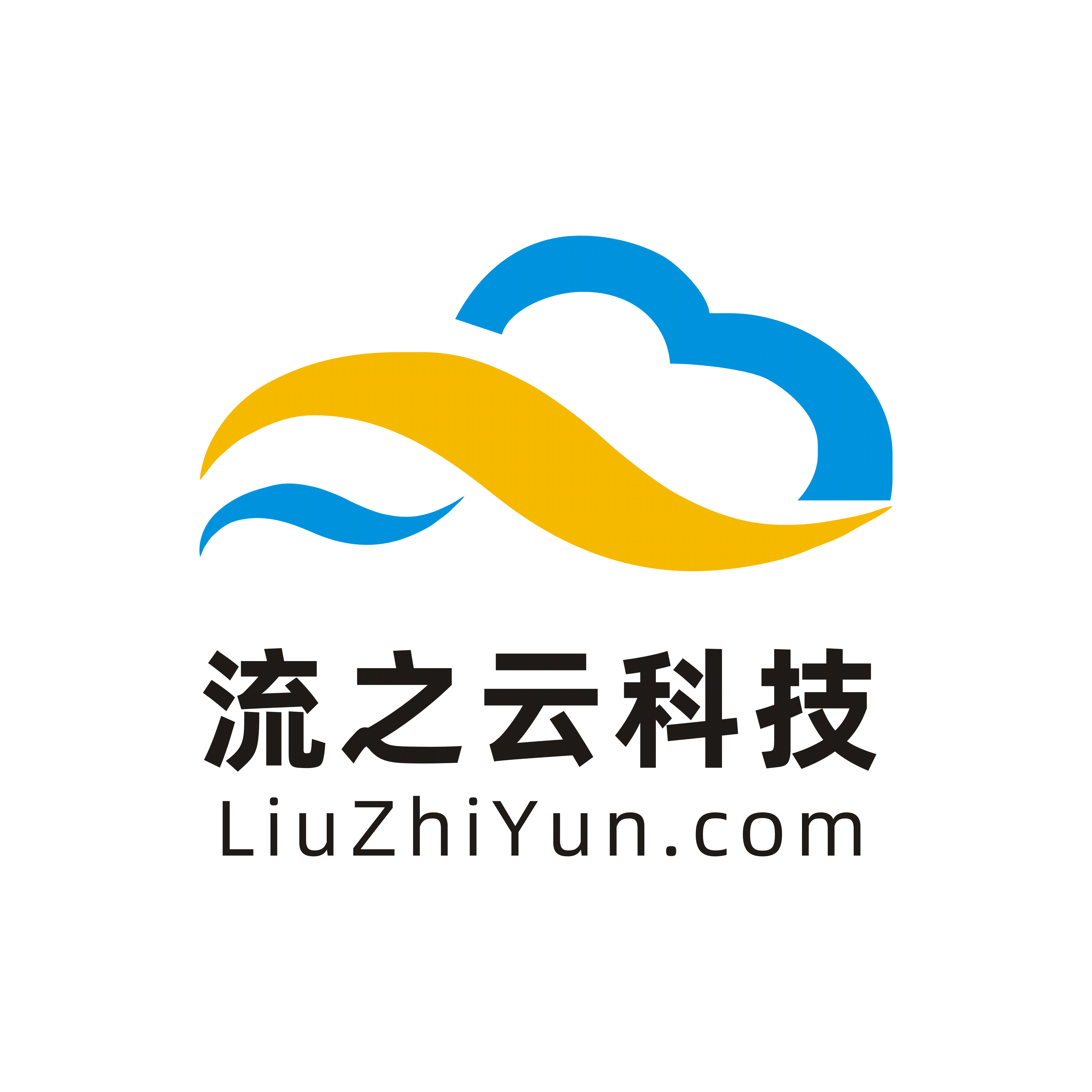 泉州流之云科技有限公司 标识