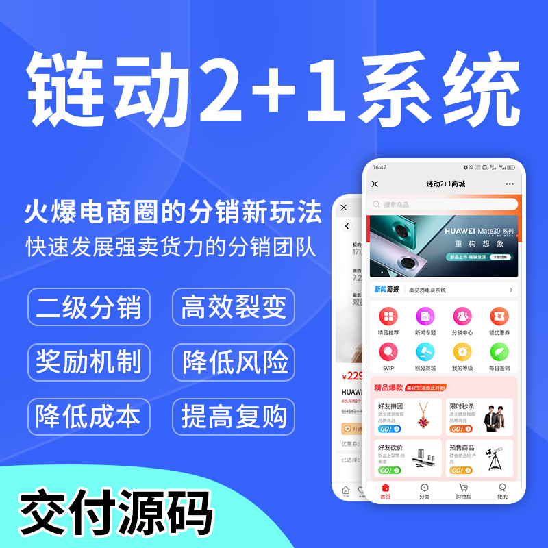 链动2+1模式2加1小程序商城开发团队分红区域代理合伙人加权分红 预览图
